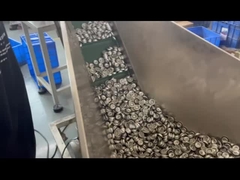 Aerosol-Ventil mit Abmessung Aerosol-Ventil mit Abmessung 1 Zoll Plastikstamm mit Abmessung 1 Zoll mit Abmessung