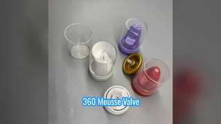 Pro Hair Mousse Valve 360-Dosierung