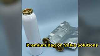 Hochwertige kundenspezifische Bag-on-Valve-Systeme für Aluminium-Aerosolverpackungen