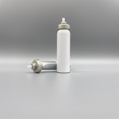 kaufen Innovative Bag on Valve for Automotive Use with Precision Trigger Spray Cap Online-Herstellung