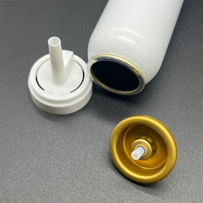 kaufen Universal Fit Aerosol Hair Mousse Zubehör für OEM-Branding mit anpassbarem Deckel und Aktor Online-Herstellung
