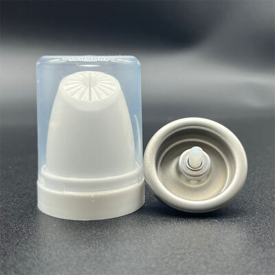 kaufen Thermisch schützender Aerosol-Haarmousse-Dispenser für häufige Heizwerkzeugbenutzer mit Schadensverhütung und Stilverriegelungstechnologie Online-Herstellung