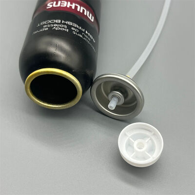 kaufen Körperspray-Aerosolventil Premium-Sprühventil für die Abgabe feiner Nebel Online-Herstellung