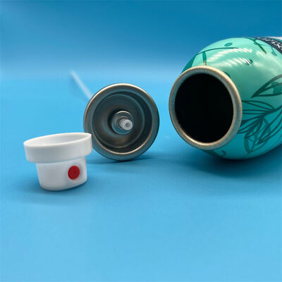 kaufen Trockenshampoo-Ventil, 1-Zoll-Aerosolventil für Haarerfrischungsspray Online-Herstellung