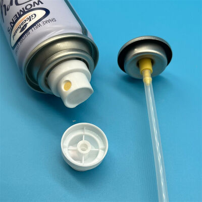 kaufen Trockenshampoo-Sprühventil: Fortschrittliches Ventildesign für feine Pulverabgabe Online-Herstellung