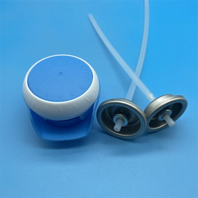 kaufen Schuh- und Sockenreiniger-Ventil für professionelle Schuhpflege-Produktlinien zur täglichen Geruchsbeseitigung Online-Herstellung