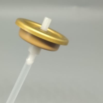 kaufen 1 Zoll Blech- und Aluminium-Aerosolventil für Pulverspray-Anwendungen Online-Herstellung