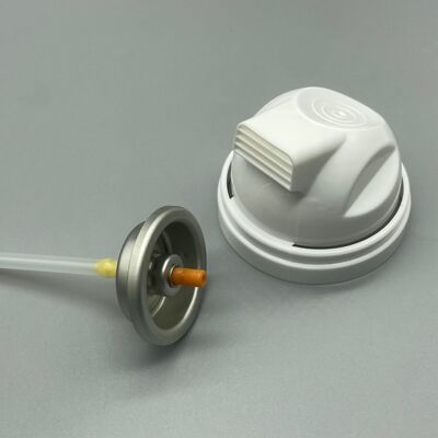 kaufen Premium-Aerosol-Rasierschaumventil für Herren-Rasierschaum- und Creme-Aerosole Online-Herstellung