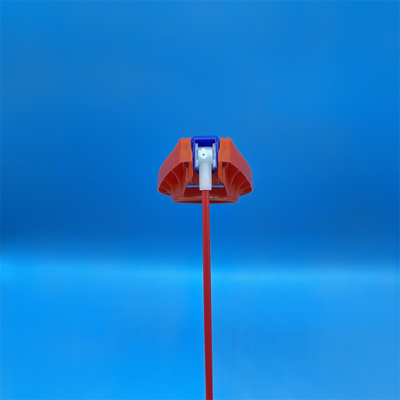 Name