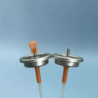 Name