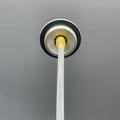 Name