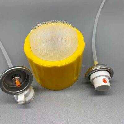 Name